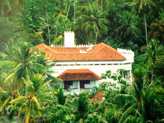 Blue Swan Inn أونا واتونا المظهر الخارجي الصورة